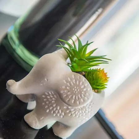 アパート Lucy 1 Čitluk